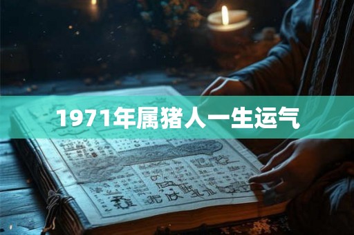 1971年属猪人一生运气
