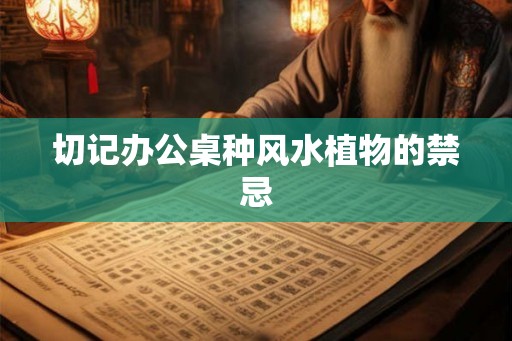 切记办公桌种风水植物的禁忌