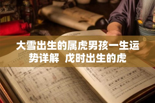 大雪出生的属虎男孩一生运势详解  戊时出生的虎