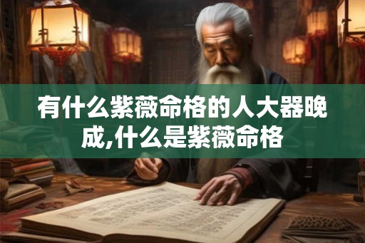 有什么紫薇命格的人大器晚成,什么是紫薇命格