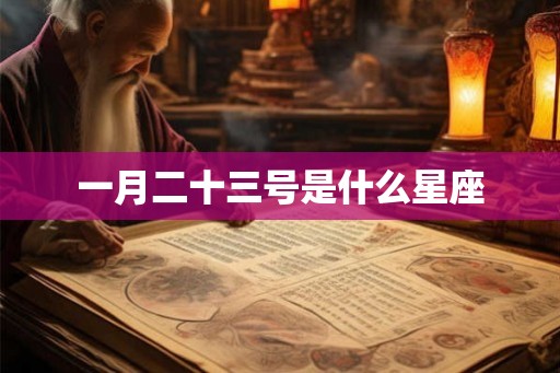 一月二十三号是什么星座