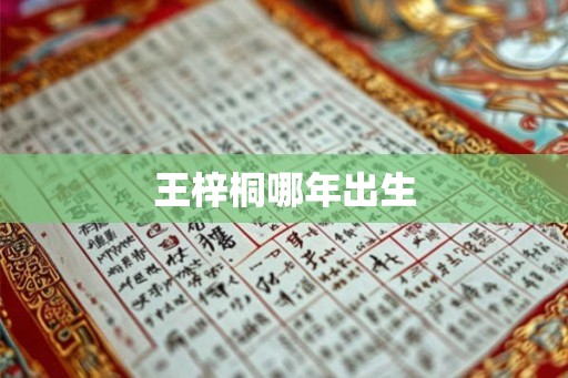 王梓桐哪年出生