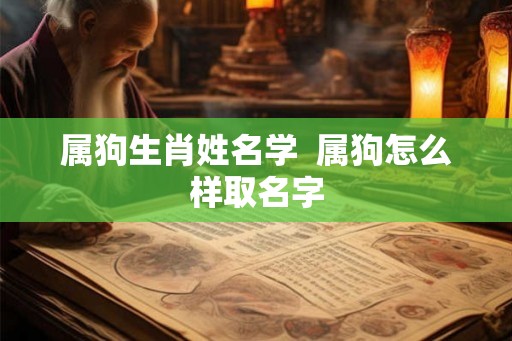 属狗生肖姓名学 属狗怎么样取名字 属狗生肖姓名学 属狗怎么样取名字