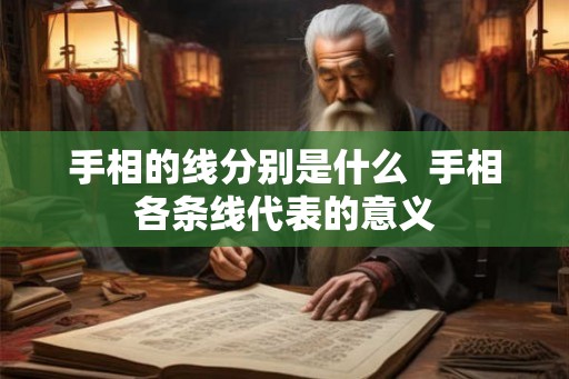 手相的线分别是什么  手相各条线代表的意义