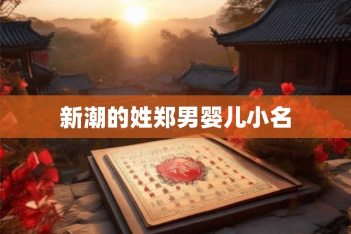 新潮的姓郑男婴儿小名 新潮的姓郑男婴儿小名
