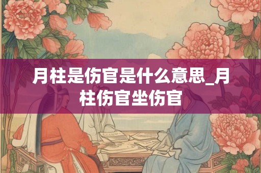 月柱是伤官是什么意思_月柱伤官坐伤官