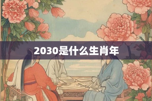 2030是什么生肖年
