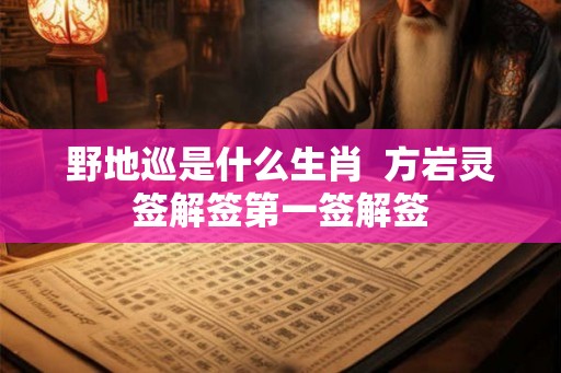 野地巡是什么生肖  方岩灵签解签第一签解签