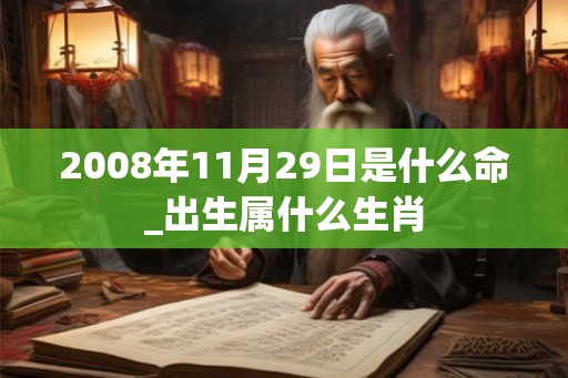 2008年11月29日是什么命_出生属什么生肖