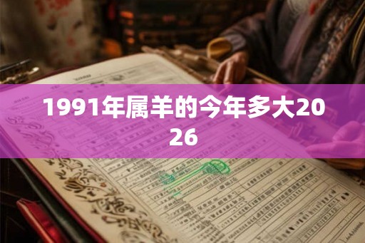 1991年属羊的今年多大2026