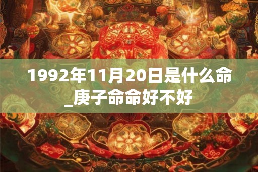 1992年11月20日是什么命_庚子命命好不好