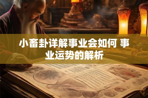 小畜卦详解事业会如何 事业运势的解析