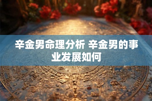 辛金男命理分析 辛金男的事业发展如何 辛金男命理分析 辛金男的事业发展如何