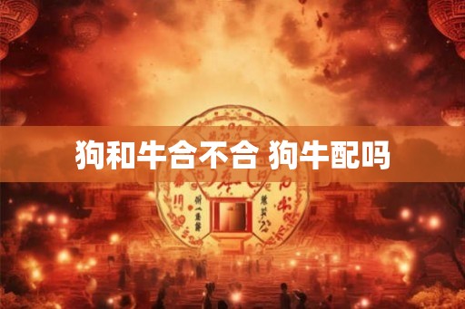 狗和牛合不合 狗牛配吗