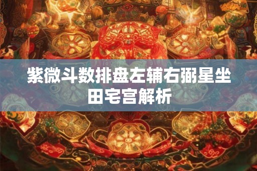 紫微斗数排盘左辅右弼星坐田宅宫解析