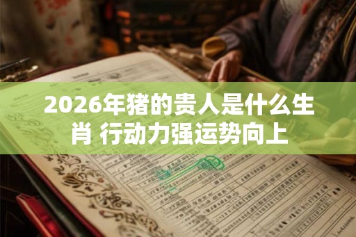 2026年猪的贵人是什么生肖 行动力强运势向上
