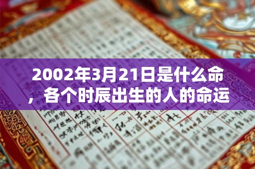 2002年3月21日是什么命，各个时辰出生的人的命运