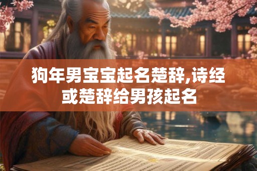 狗年男宝宝起名楚辞,诗经或楚辞给男孩起名 狗年男宝宝起名楚辞,诗经或楚辞给男孩起名