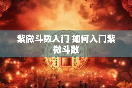 紫微斗数入门 如何入门紫微斗数