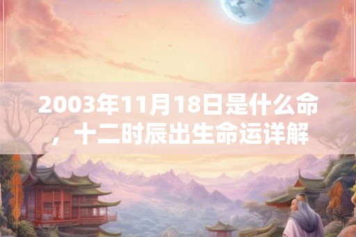 2003年11月18日是什么命，十二时辰出生命运详解