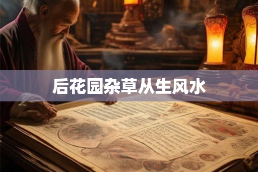 后花园杂草从生风水 后花园杂草从生风水