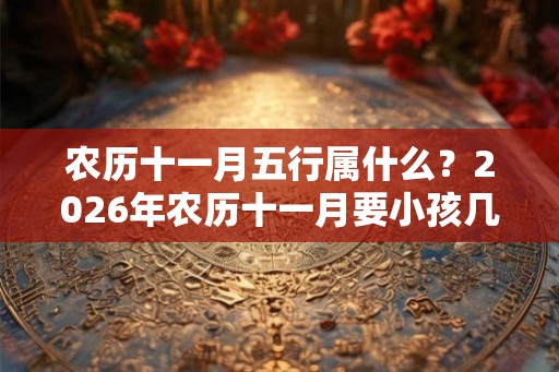 农历十一月五行属什么？2026年农历十一月要小孩几月份生宝宝？