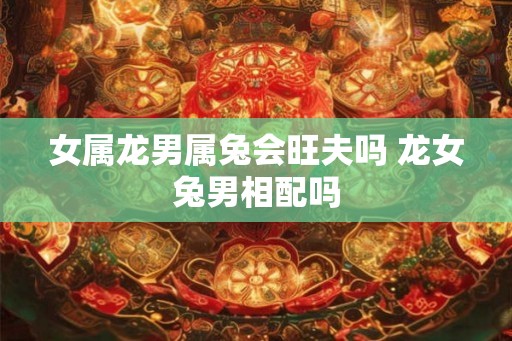 女属龙男属兔会旺夫吗 龙女兔男相配吗