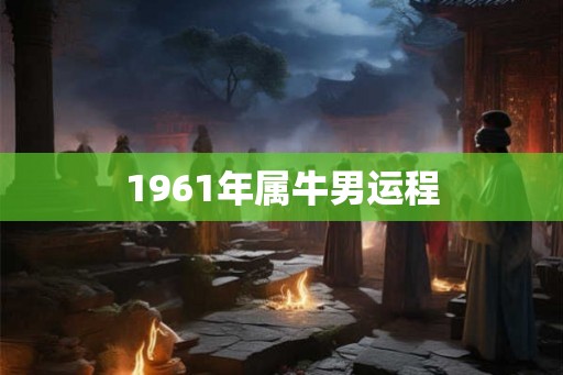 1961年属牛男运程