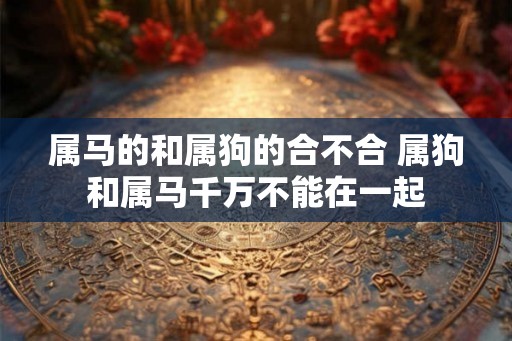 属马的和属狗的合不合 属狗和属马千万不能在一起