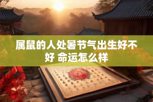 属鼠的人处暑节气出生好不好 命运怎么样