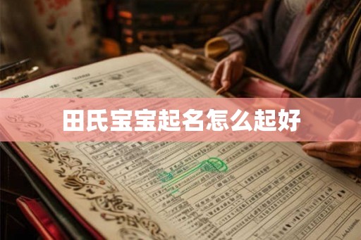 田氏宝宝起名怎么起好