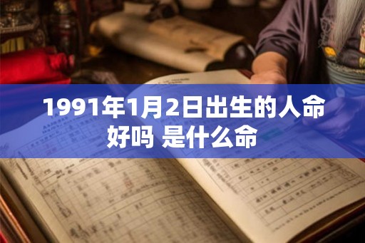 1991年1月2日出生的人命好吗 是什么命
