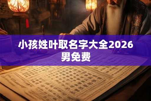 小孩姓叶取名字大全2026男免费