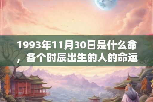 1993年11月30日是什么命，各个时辰出生的人的命运