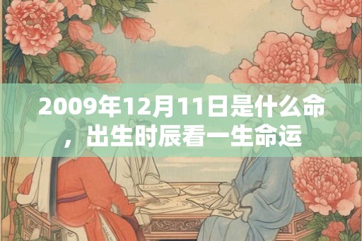 2009年12月11日是什么命，出生时辰看一生命运