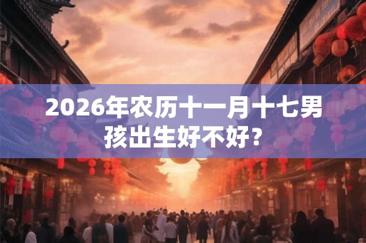 2026年农历十一月十七男孩出生好不好？