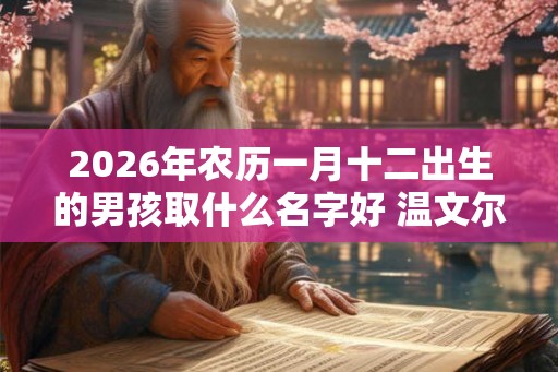 2026年农历一月十二出生的男孩取什么名字好 温文尔雅的名字推荐
