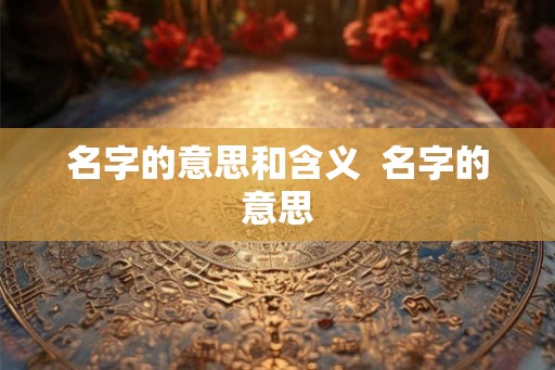 名字的意思和含义  名字的意思