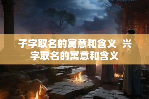 子字取名的寓意和含义  兴字取名的寓意和含义