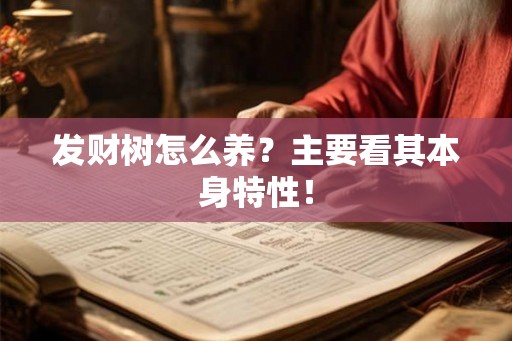 发财树怎么养？主要看其本身特性！