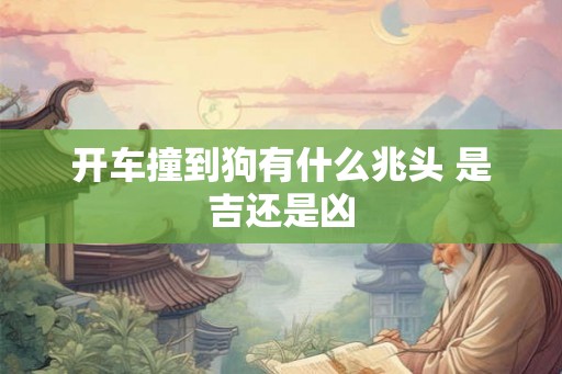 开车撞到狗有什么兆头 是吉还是凶
