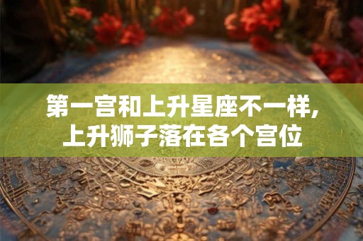 第一宫和上升星座不一样,上升狮子落在各个宫位