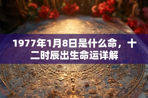 1977年1月8日是什么命,十二时辰出生命运详解 1977年1月8日是什么命,十二时辰出生命运详解