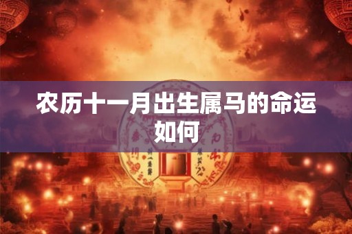 农历十一月出生属马的命运如何