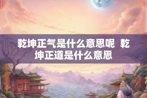 乾坤正气是什么意思呢  乾坤正道是什么意思