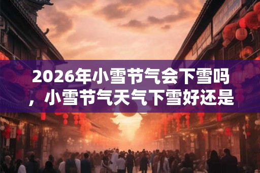 2026年小雪节气会下雪吗，小雪节气天气下雪好还是晴天好？