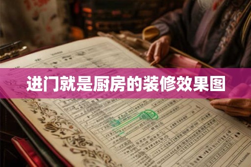 进门就是厨房的装修效果图