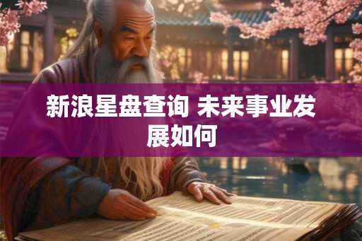 新浪星盘查询 未来事业发展如何 新浪星盘查询 未来事业发展如何