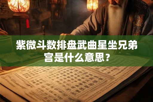 紫微斗数排盘武曲星坐兄弟宫是什么意思？
