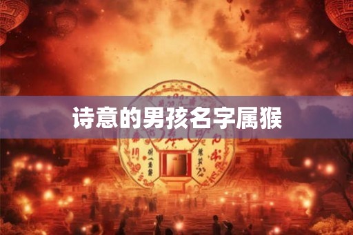 诗意的男孩名字属猴